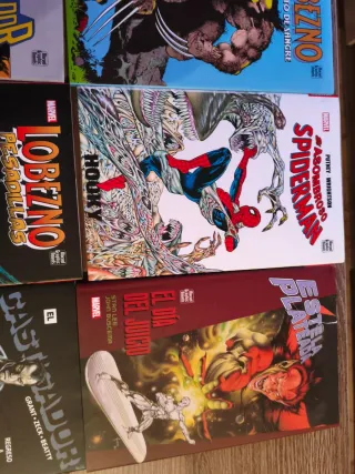 Novelas Gráficas Marvel, tomos variados. 10 tomos.