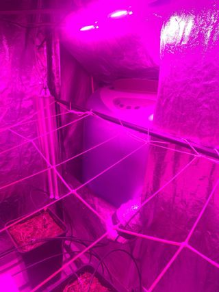 CULTIVO COMPLETO CON TODO