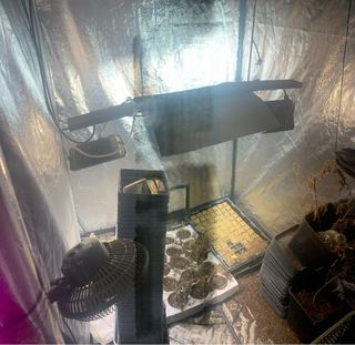 CULTIVO COMPLETO CON TODO