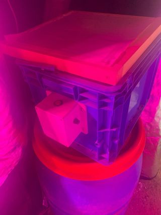 CULTIVO COMPLETO CON TODO