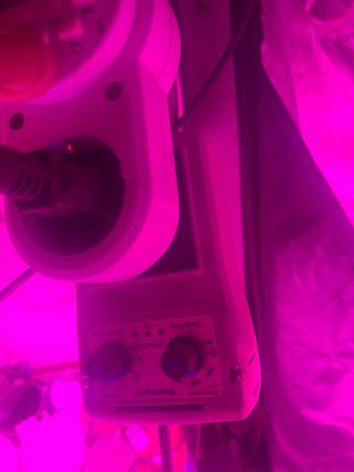 CULTIVO COMPLETO CON TODO