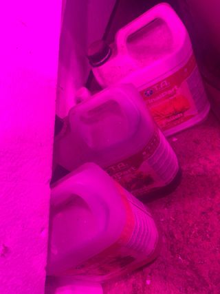 CULTIVO COMPLETO CON TODO