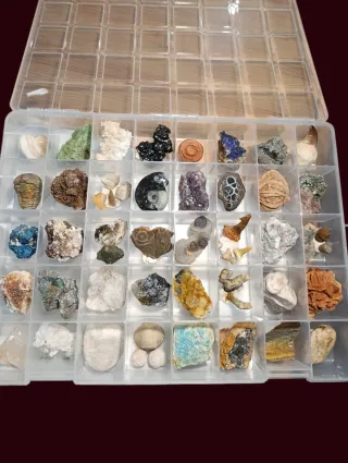 Colección 40 Fósiles y Minerales