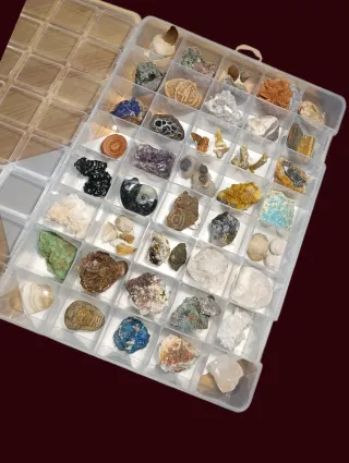 Colección 40 Fósiles y Minerales