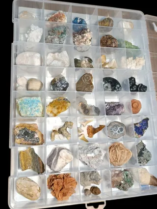 Colección 40 Fósiles y Minerales