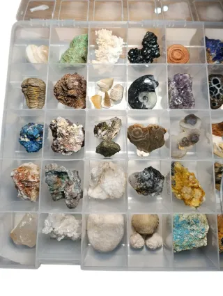Colección 40 Fósiles y Minerales
