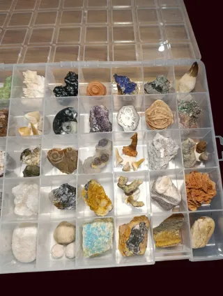 Colección 40 Fósiles y Minerales