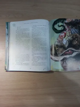 Harry Potter i la Pedra Filosofal