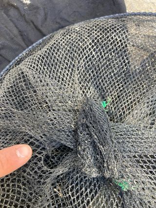 Equipo de pesca para ciprínidos