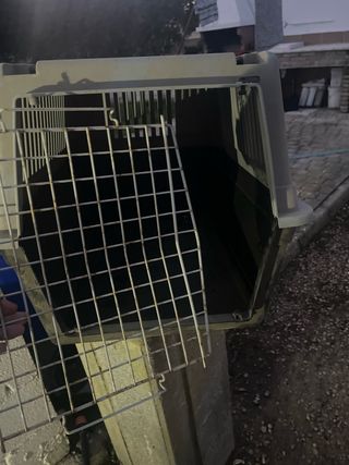 Transportín para perro grande