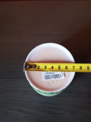 Maceta cerámica pequeña Olive