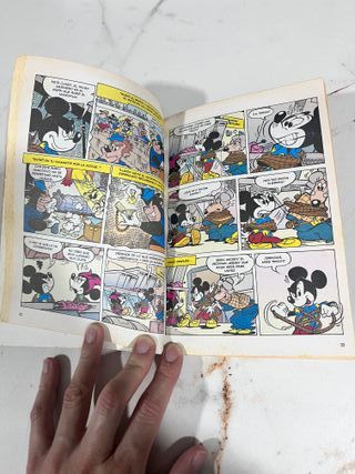 Mickey y Minnie + libro regalo Festival de Verano
