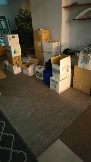 Lote nuevo de l Productos de limpieza industrial