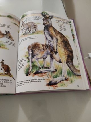 Crías de animales de granja (Naturaleza Joven) ...