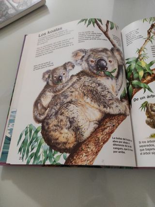 Crías de animales de granja (Naturaleza Joven) ...