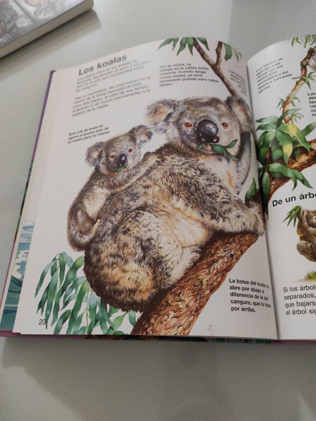 Crías de animales de granja (Naturaleza Joven) ...