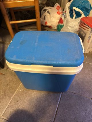 Nevera de playa azul