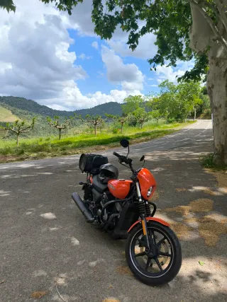 Harley Davidson Street 750