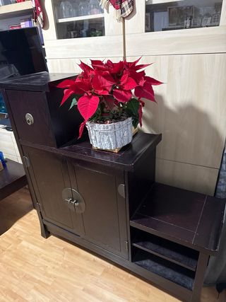 Mueble etnico madera oscuro con herrajes dorados