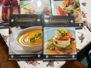 Enciclopedia gastronomia nueva a estrenar