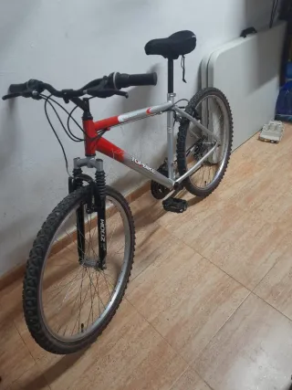 Bicicleta da montagna uomo