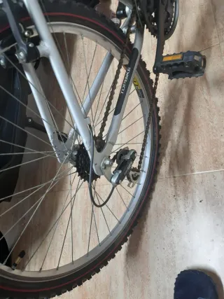 Bicicleta da montagna uomo