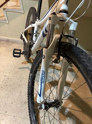 Bicicleta Specialized Myka Talla S 13