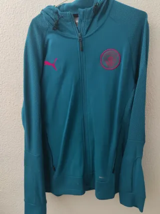 Chándal Puma Teal Manchester City