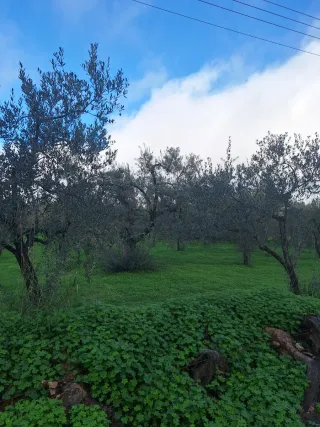 VENDO FINCA RÚSTICA DE 3.320M2.EN