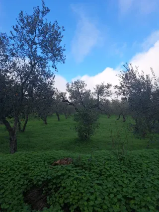 VENDO FINCA RÚSTICA DE 3.320M2.EN