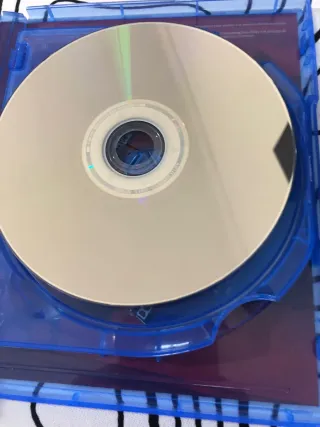 Red Dead Redemption 2 PS5/ps4