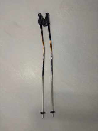 Bastones de esquí