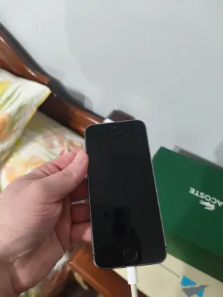 iPhone 5s Gris Espacial