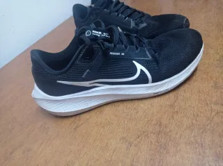 Nike Pegasus 40