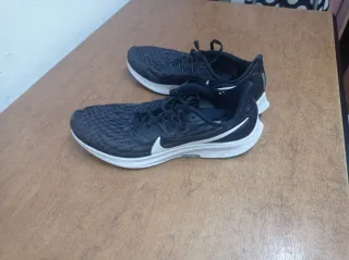 Nike Pegasus