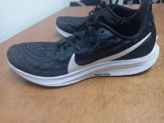 Nike Pegasus