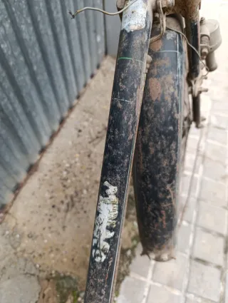 Bicicleta Minaco varillas