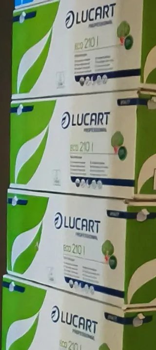 Papel Higiénico Lucart Eco 210 | caja con 40 paqus
