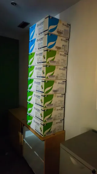 Papel Higiénico Lucart Eco 210 | caja con 40 paqus