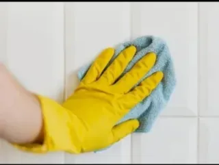 Se precisa limpiadora