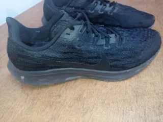Nike Pegasus Negro