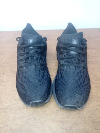 Nike Pegasus Negro