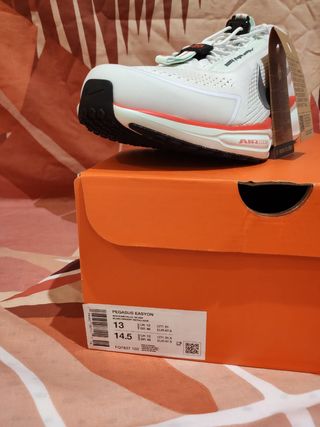 T47,5 Zapatillas Nike Pegasus EasyOn