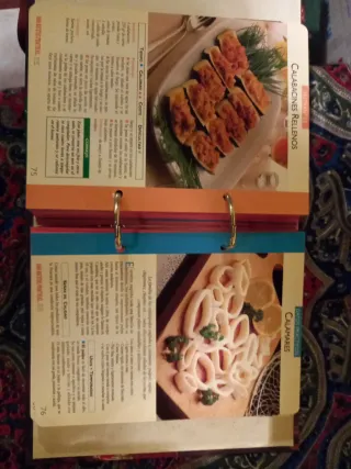 Recetas prácticas cocina Española