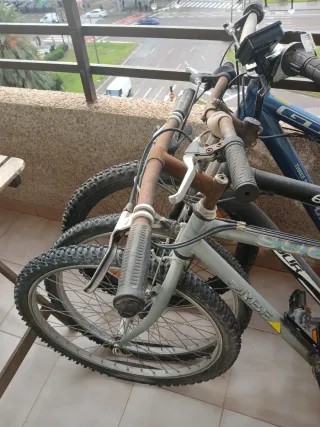 Bicicleta de montaña Orbea gris