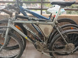 Bicicleta de montaña Orbea gris