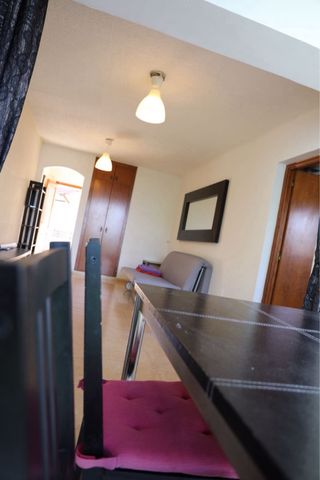 Pintor profesional con más de 20 años de experienc