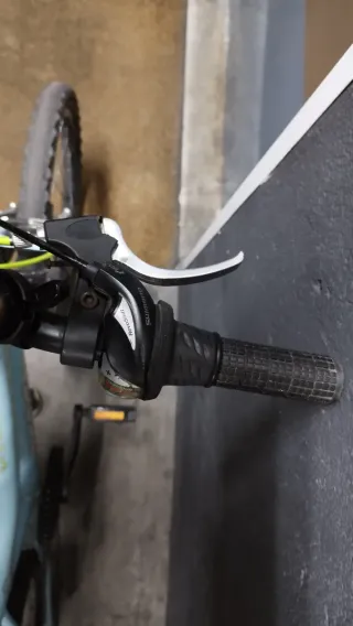 Bicicleta Berg Charm 205