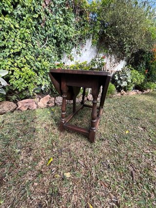 Mesa de madera ovalada de alas