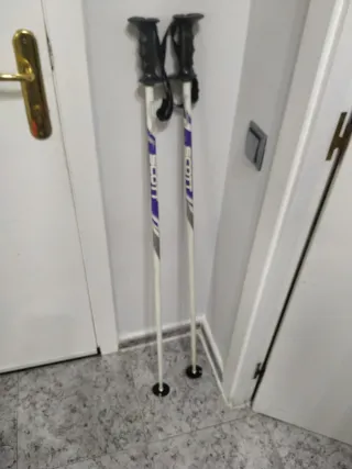 Palos de esquí Scott